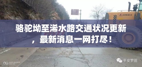 駱駝坳至浠水路交通狀況更新，最新消息一網(wǎng)打盡！