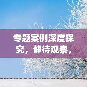 專題案例深度探究，靜待觀察，揭秘未知