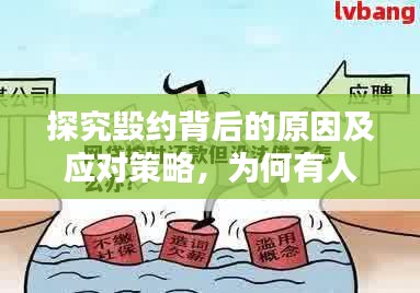 探究毀約背后的原因及應對策略，為何有人頻繁違約？