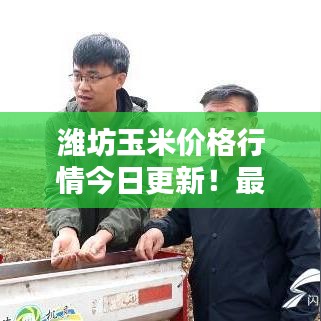 濰坊玉米價(jià)格行情今日更新！最新報(bào)價(jià)一網(wǎng)打盡