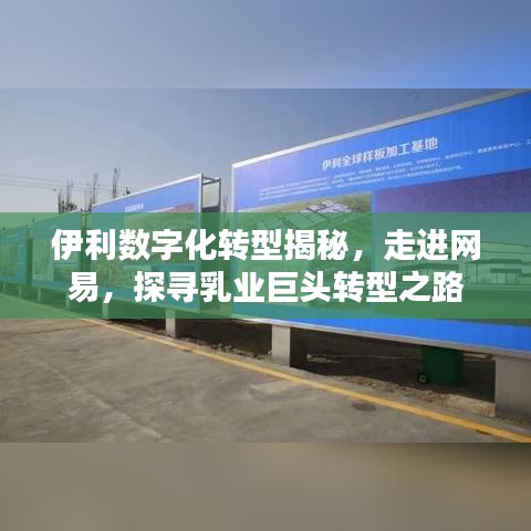 伊利數(shù)字化轉(zhuǎn)型揭秘，走進(jìn)網(wǎng)易，探尋乳業(yè)巨頭轉(zhuǎn)型之路