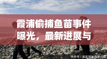 霞浦偷捕魚苗事件曝光，最新進(jìn)展與細(xì)節(jié)揭秘