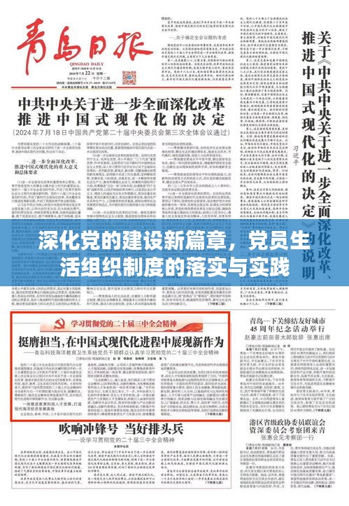 深化黨的建設(shè)新篇章，黨員生活組織制度的落實與實踐
