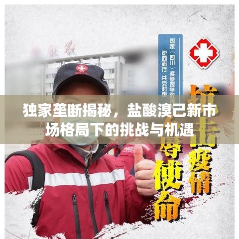 獨(dú)家壟斷揭秘，鹽酸溴己新市場(chǎng)格局下的挑戰(zhàn)與機(jī)遇