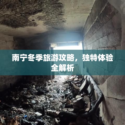 南寧冬季旅游攻略，獨特體驗全解析