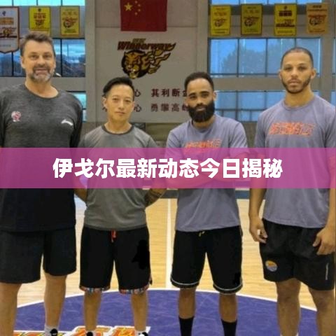 伊戈?duì)栕钚聞?dòng)態(tài)今日揭秘
