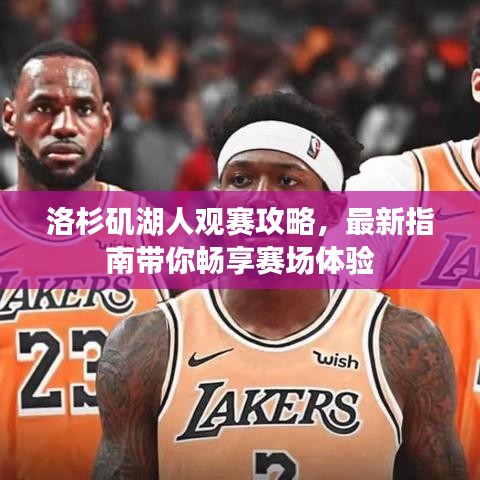 洛杉磯湖人觀賽攻略，最新指南帶你暢享賽場(chǎng)體驗(yàn)