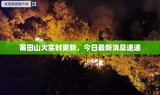 莆田山火實時更新，今日最新消息速遞