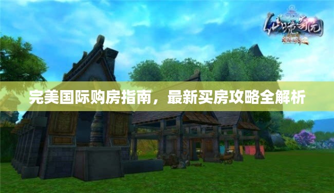完美國際購房指南，最新買房攻略全解析