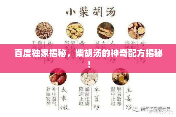 百度獨家揭秘，柴胡湯的神奇配方揭秘！