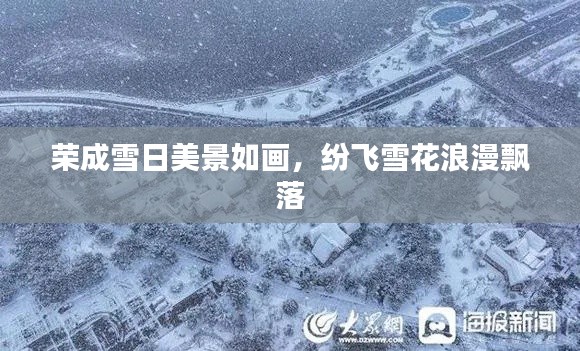 榮成雪日美景如畫，紛飛雪花浪漫飄落