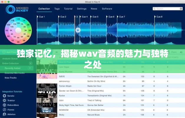 獨(dú)家記憶，揭秘wav音頻的魅力與獨(dú)特之處