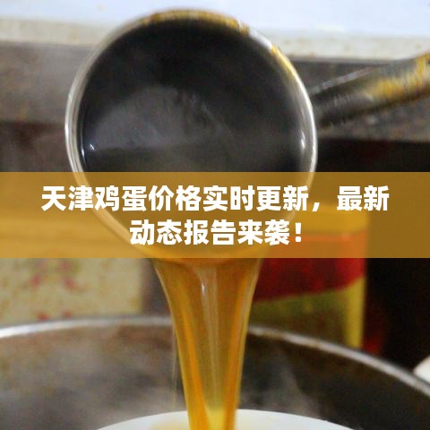 天津雞蛋價(jià)格實(shí)時(shí)更新，最新動(dòng)態(tài)報(bào)告來(lái)襲！