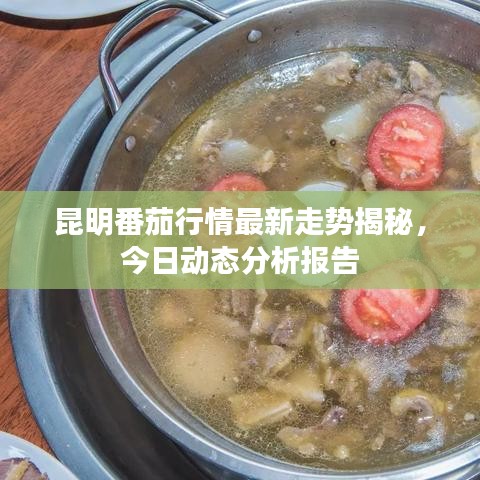 昆明番茄行情最新走勢(shì)揭秘，今日動(dòng)態(tài)分析報(bào)告