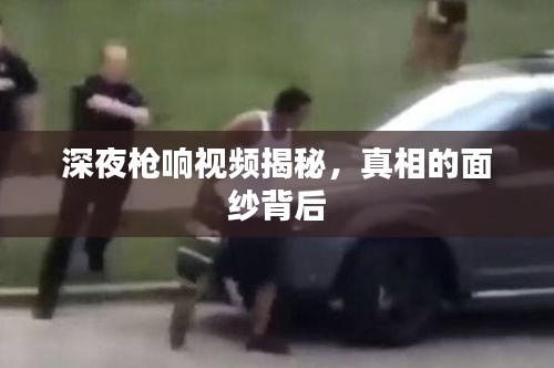 深夜槍響視頻揭秘，真相的面紗背后