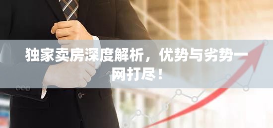 獨家賣房深度解析，優(yōu)勢與劣勢一網(wǎng)打盡！
