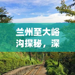 蘭州至大峪溝探秘，深度旅游攻略，暢游自然美景！