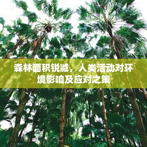 森林面積銳減，人類(lèi)活動(dòng)對(duì)環(huán)境影響及應(yīng)對(duì)之策