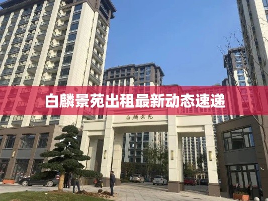 白麟景苑出租最新動(dòng)態(tài)速遞