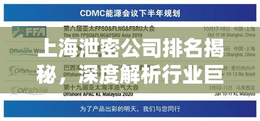 上海泄密公司排名揭秘，深度解析行業(yè)巨頭