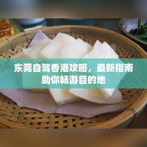 東莞自駕香港攻略，最新指南助你暢游目的地