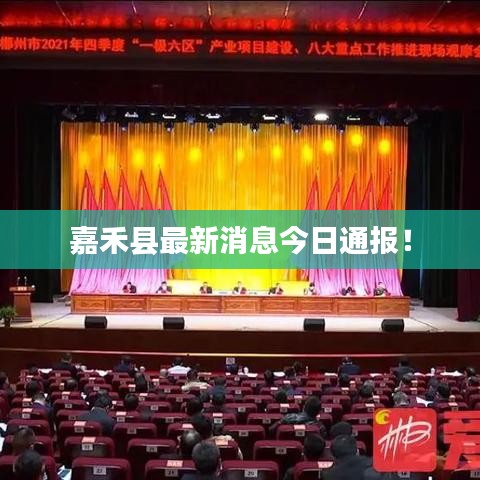 嘉禾縣最新消息今日通報(bào)！
