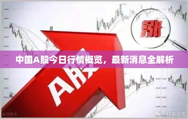 中國A股今日行情概覽，最新消息全解析