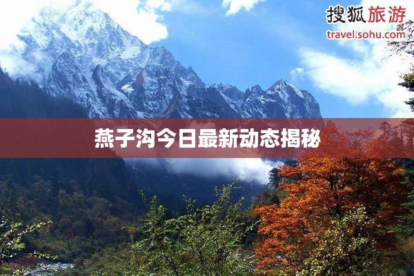 燕子溝今日最新動態(tài)揭秘