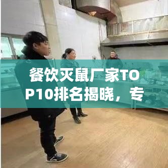 餐飲滅鼠廠家TOP10排名揭曉，專業(yè)守護(hù)餐飲安全，值得信賴的選擇！