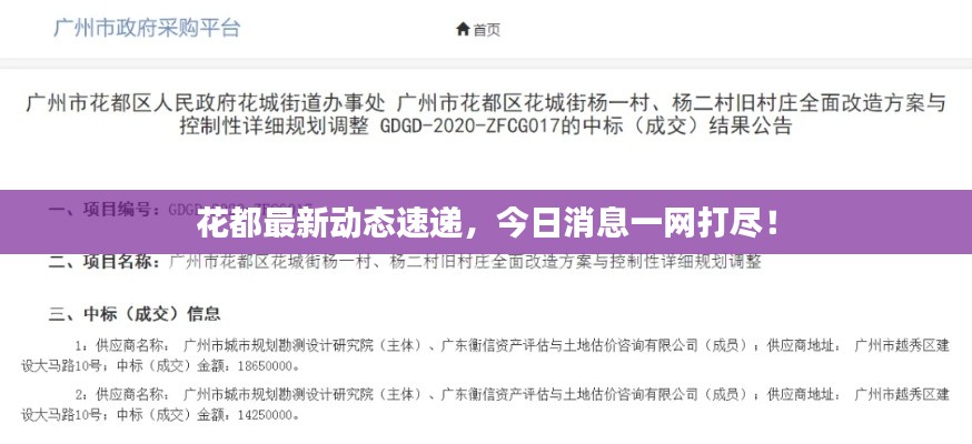 花都最新動態(tài)速遞，今日消息一網(wǎng)打盡！