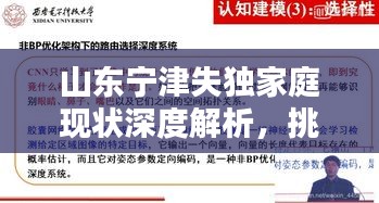 山東寧津失獨(dú)家庭現(xiàn)狀深度解析，挑戰(zhàn)與對(duì)策