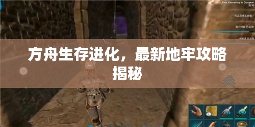 方舟生存進化，最新地牢攻略揭秘