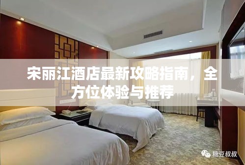 宋麗江酒店最新攻略指南，全方位體驗與推薦