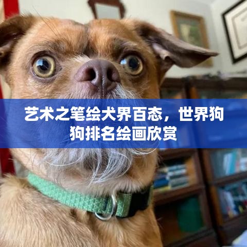 藝術(shù)之筆繪犬界百態(tài)，世界狗狗排名繪畫(huà)欣賞