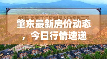 肇東最新房價動態(tài)，今日行情速遞