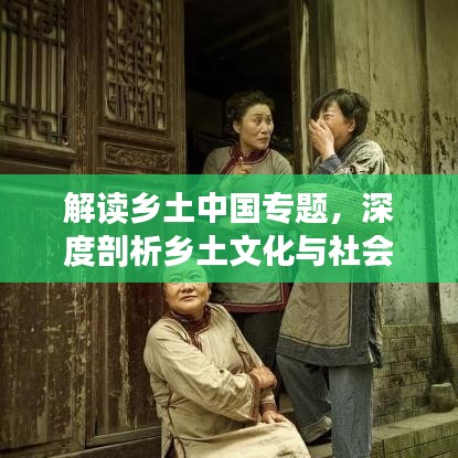 解讀鄉(xiāng)土中國專題，深度剖析鄉(xiāng)土文化與社會根源