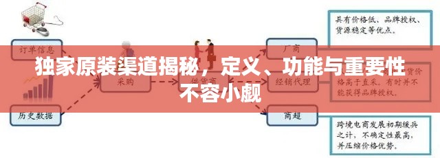 獨家原裝渠道揭秘，定義、功能與重要性不容小覷