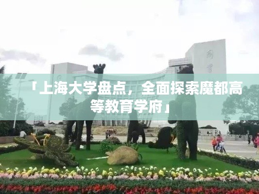 「上海大學盤點，全面探索魔都高等教育學府」