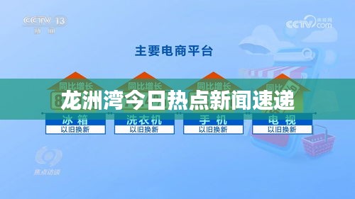 龍洲灣今日熱點新聞速遞