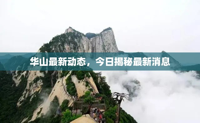 雅人深致 第2頁