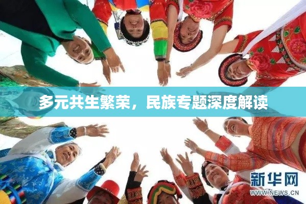 多元共生繁榮，民族專題深度解讀