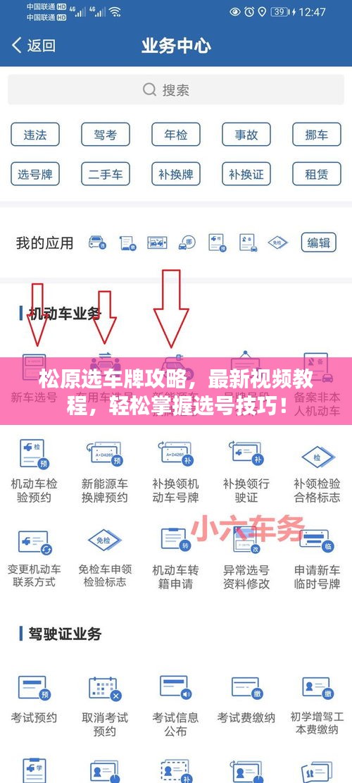松原選車牌攻略，最新視頻教程，輕松掌握選號技巧！