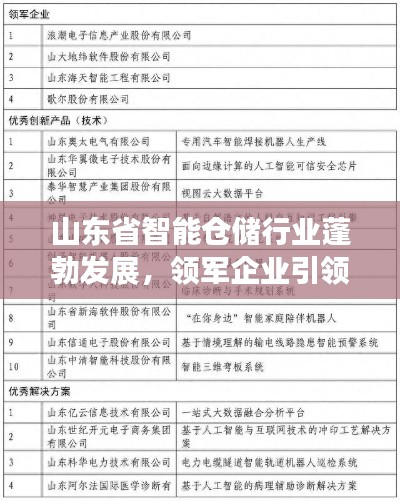 山東省智能倉儲行業(yè)蓬勃發(fā)展，領(lǐng)軍企業(yè)引領(lǐng)潮流榜單揭曉！