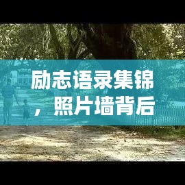 勵(lì)志語(yǔ)錄集錦，照片墻背后的力量