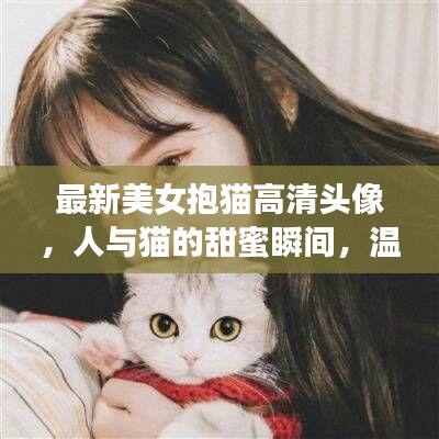 最新美女抱貓高清頭像，人與貓的甜蜜瞬間，溫馨畫面不容錯過