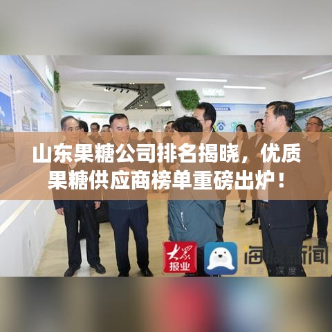 山東果糖公司排名揭曉，優(yōu)質果糖供應商榜單重磅出爐！