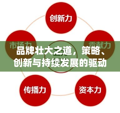 品牌壯大之道，策略、創(chuàng)新與持續(xù)發(fā)展的驅動力