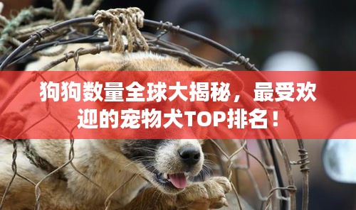 狗狗數(shù)量全球大揭秘，最受歡迎的寵物犬TOP排名！