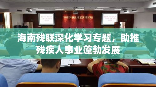 海南殘聯(lián)深化學(xué)習(xí)專題，助推殘疾人事業(yè)蓬勃發(fā)展