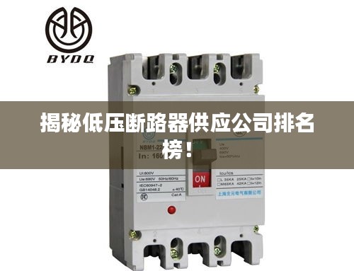 揭秘低壓斷路器供應(yīng)公司排名榜！